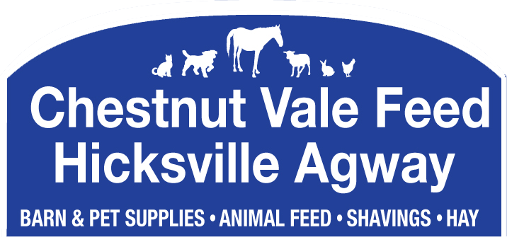 Chestnut Vale Feed